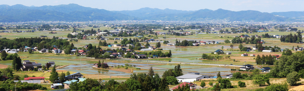 虚空蔵山からの田園風景