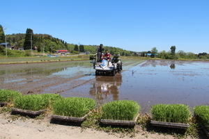 田植え機に乗っての田植え作業の画像