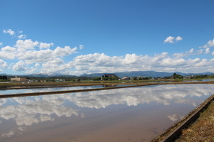 田んぼの画像