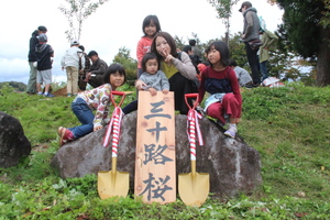 三十路桜