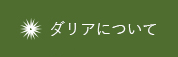 ダリアについて