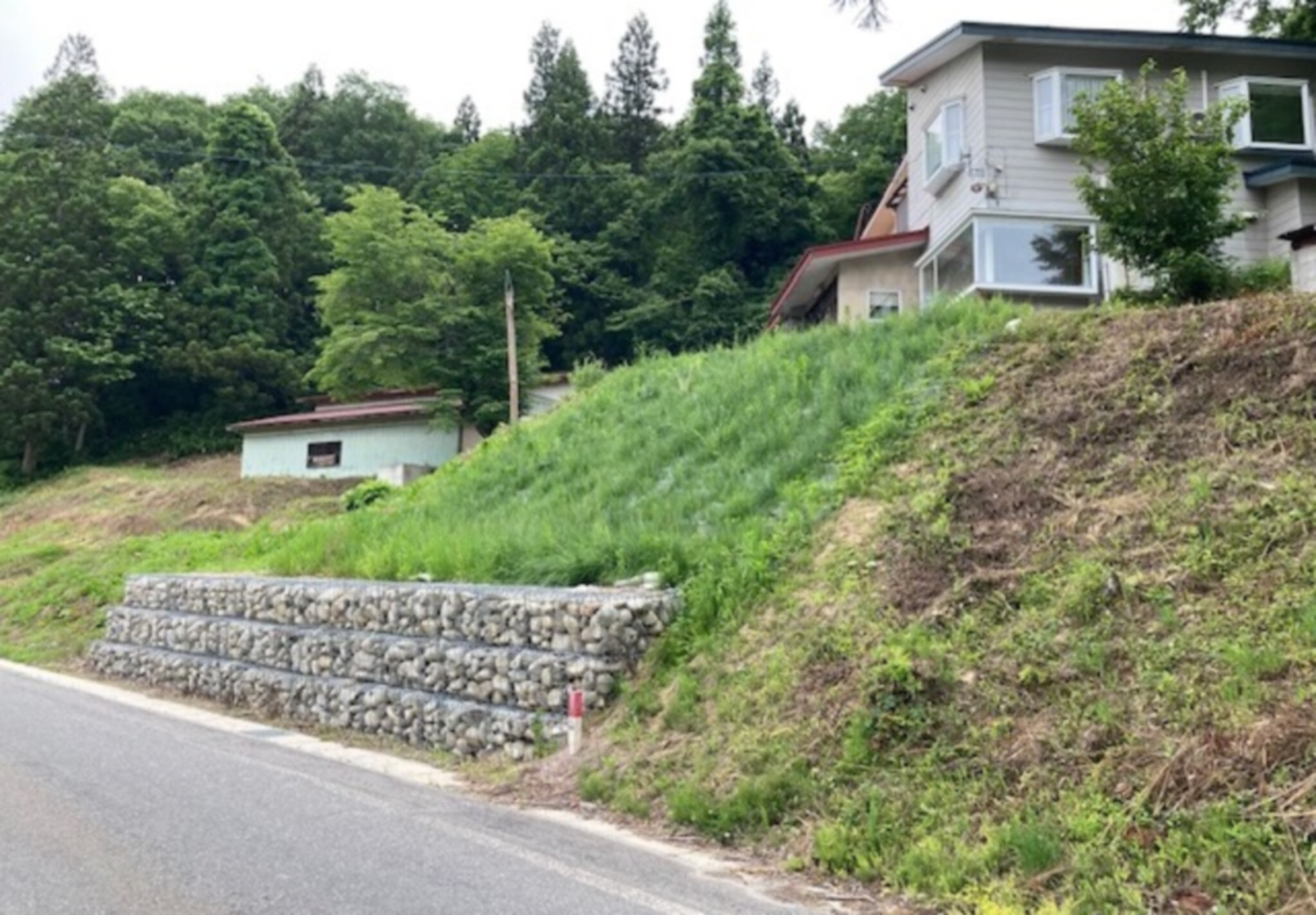 detached 玉庭