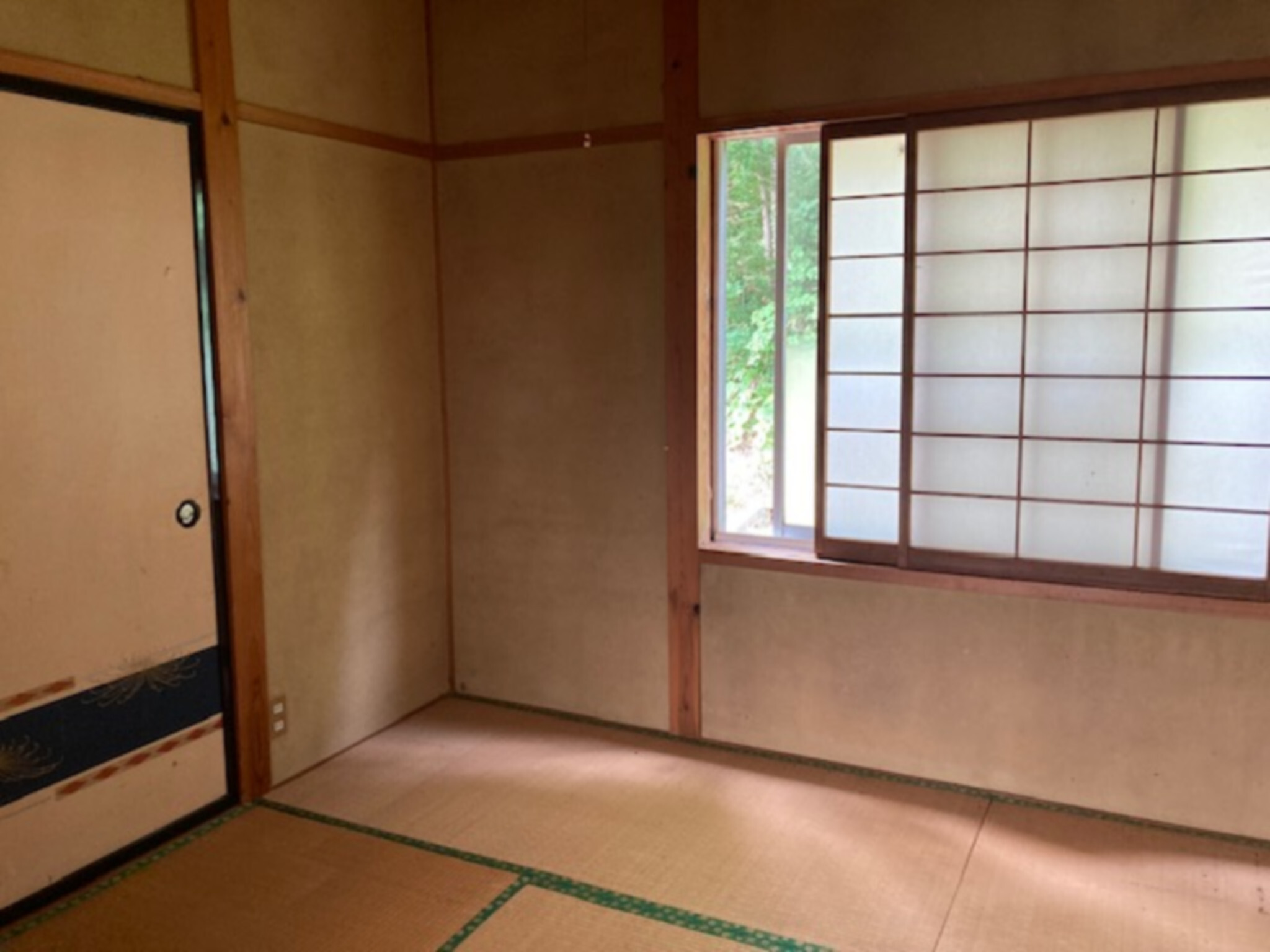 detached 玉庭