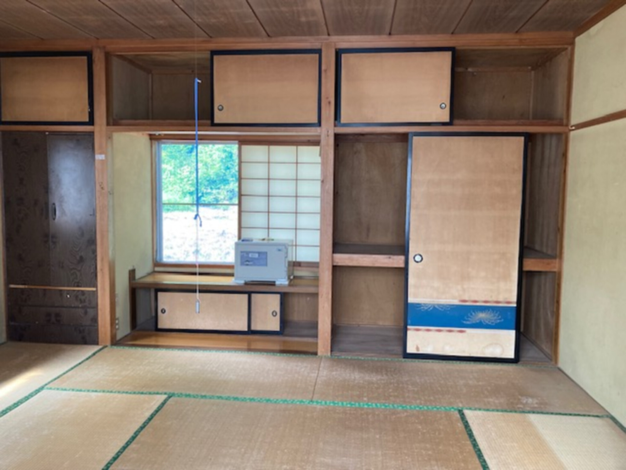 detached 玉庭