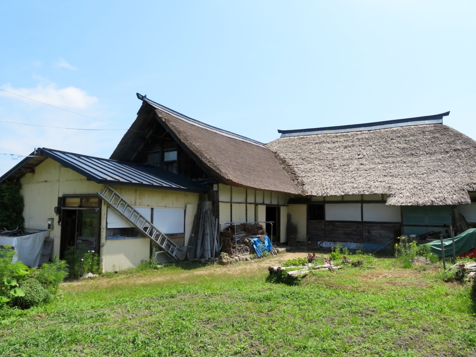 detached 玉庭