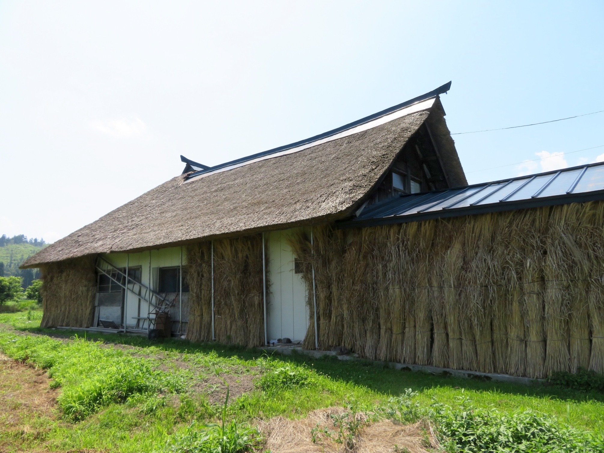 detached 玉庭
