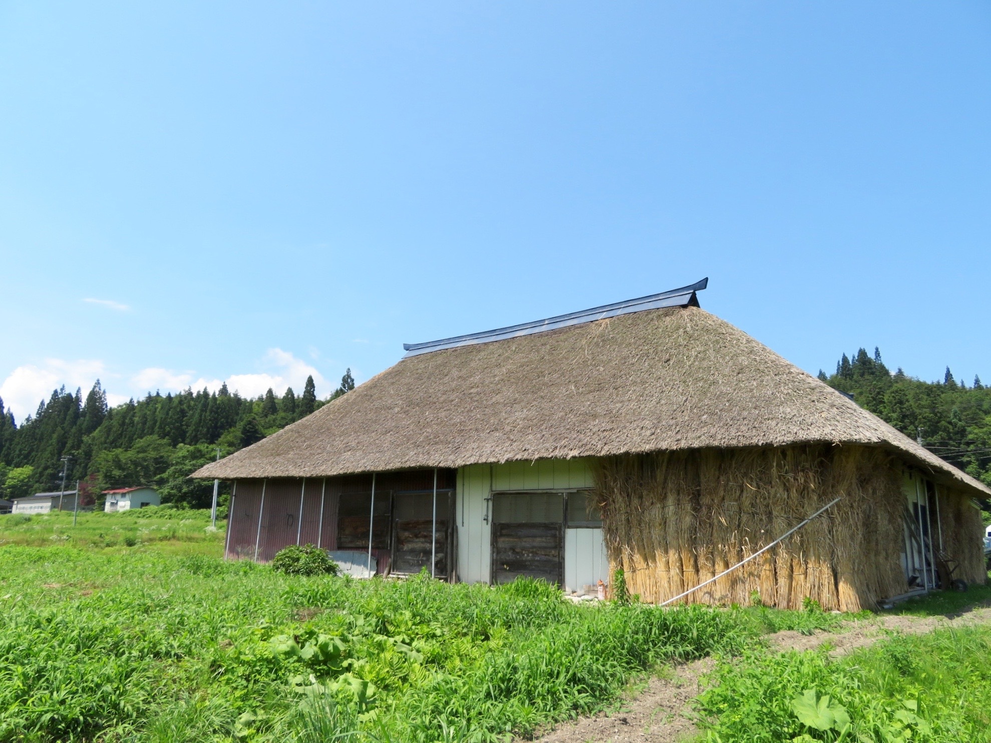 detached 玉庭