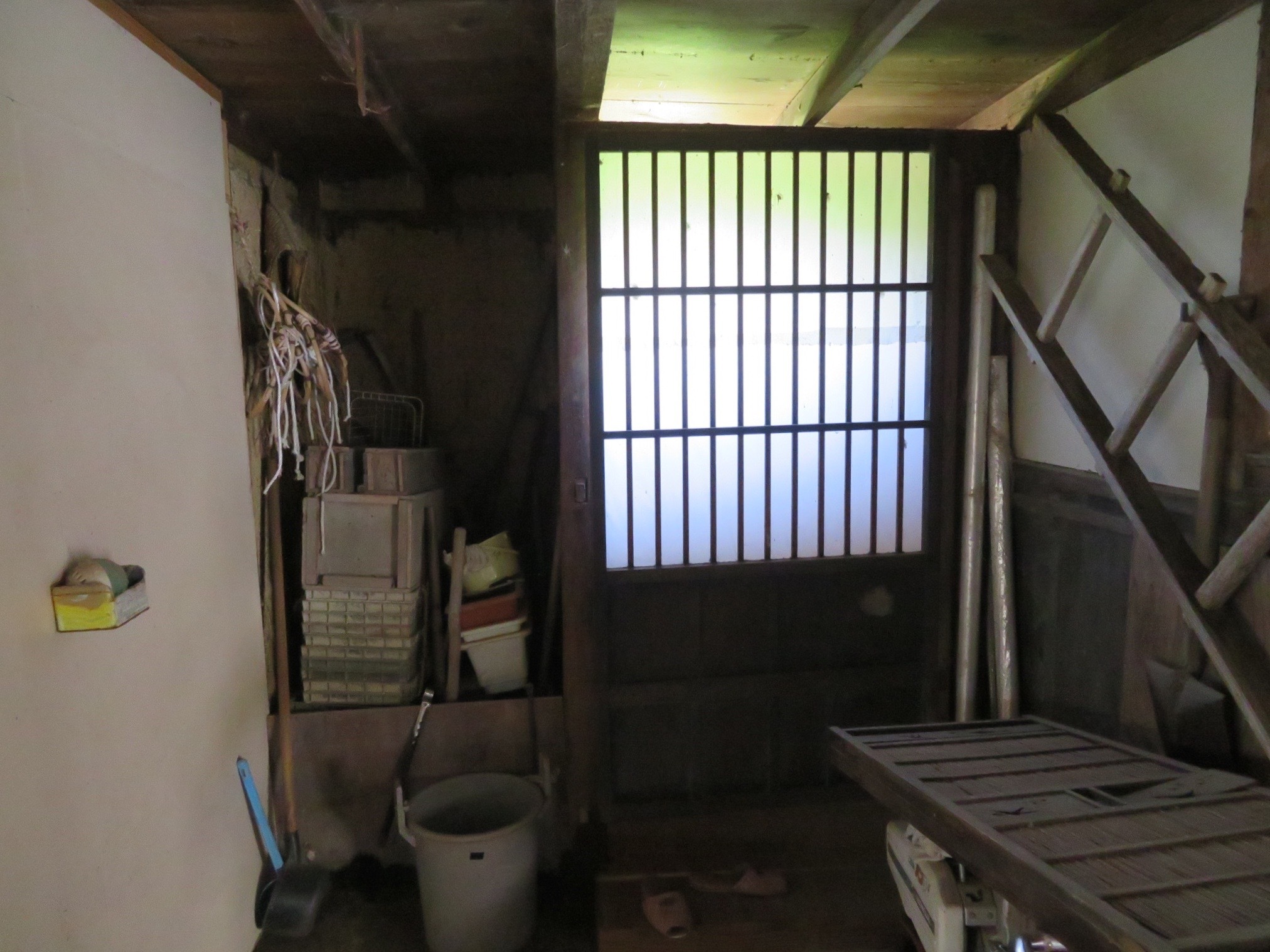 detached 玉庭