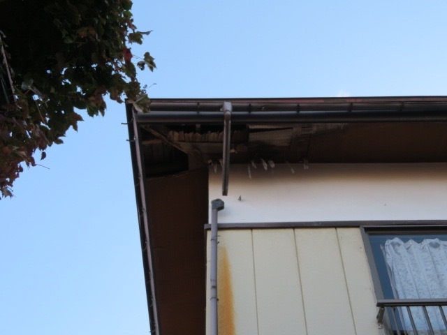 detached 上小松