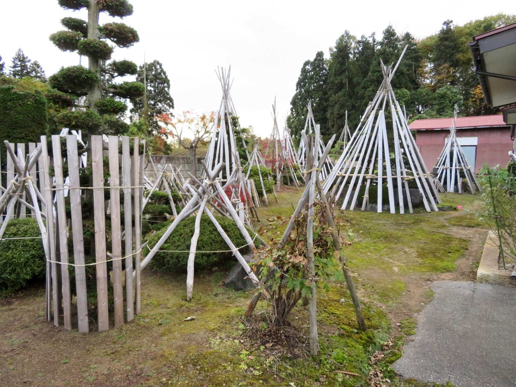 detached 西大塚