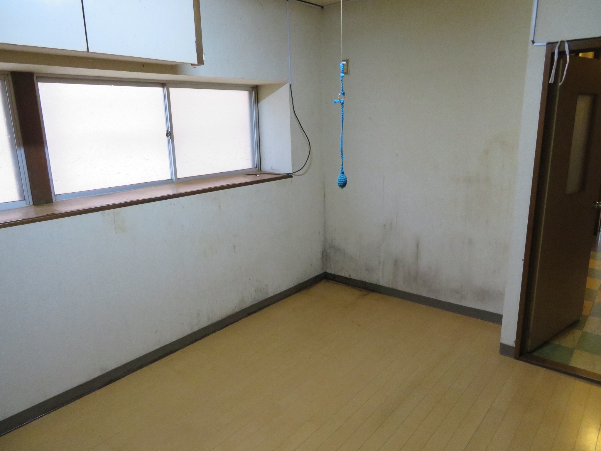 detached 玉庭