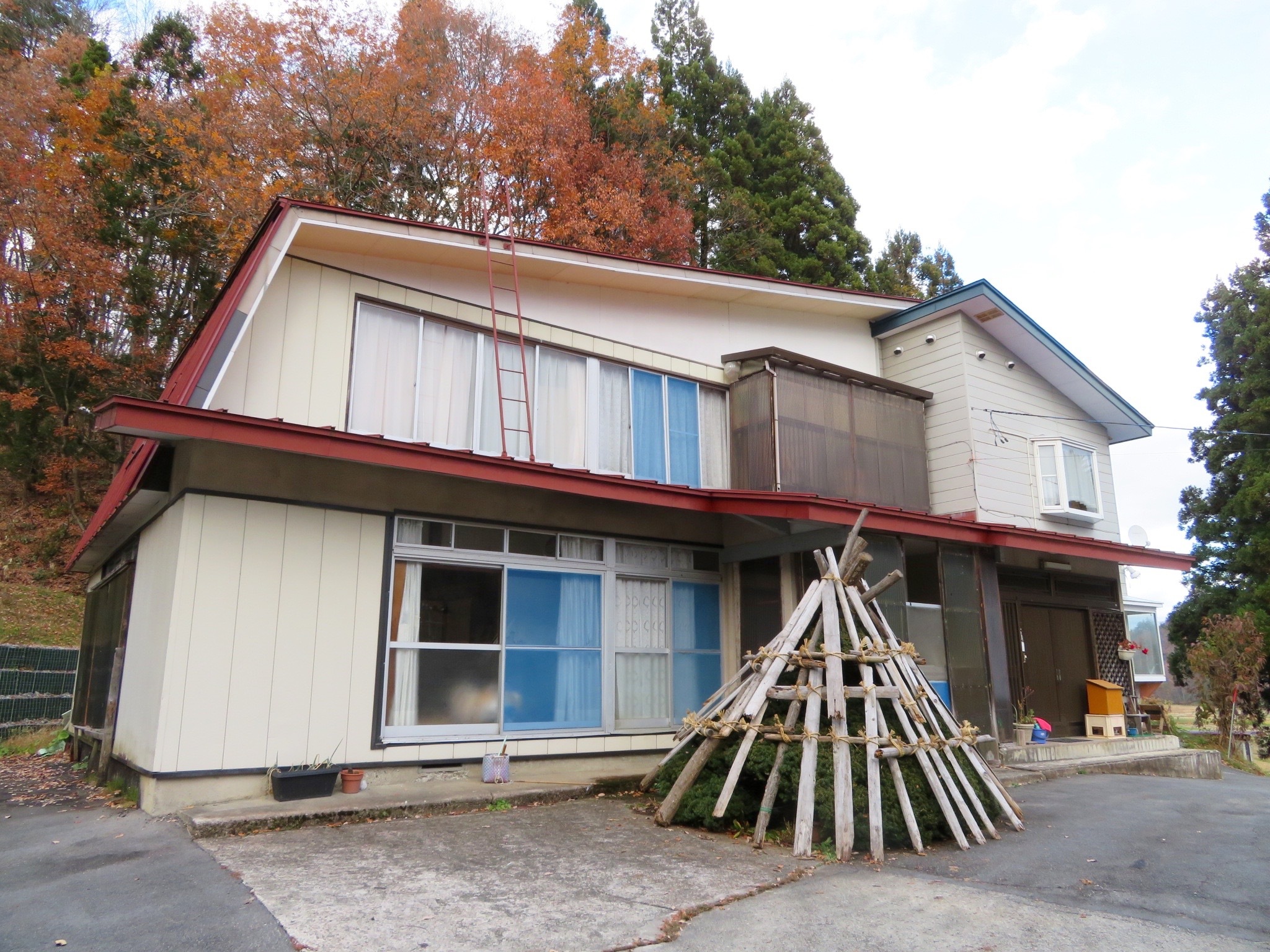 detached 玉庭