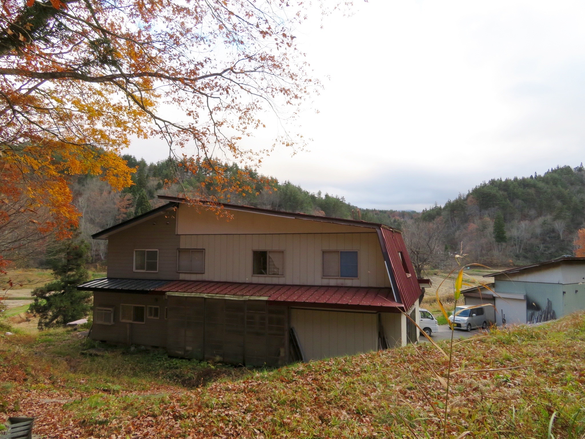 detached 玉庭