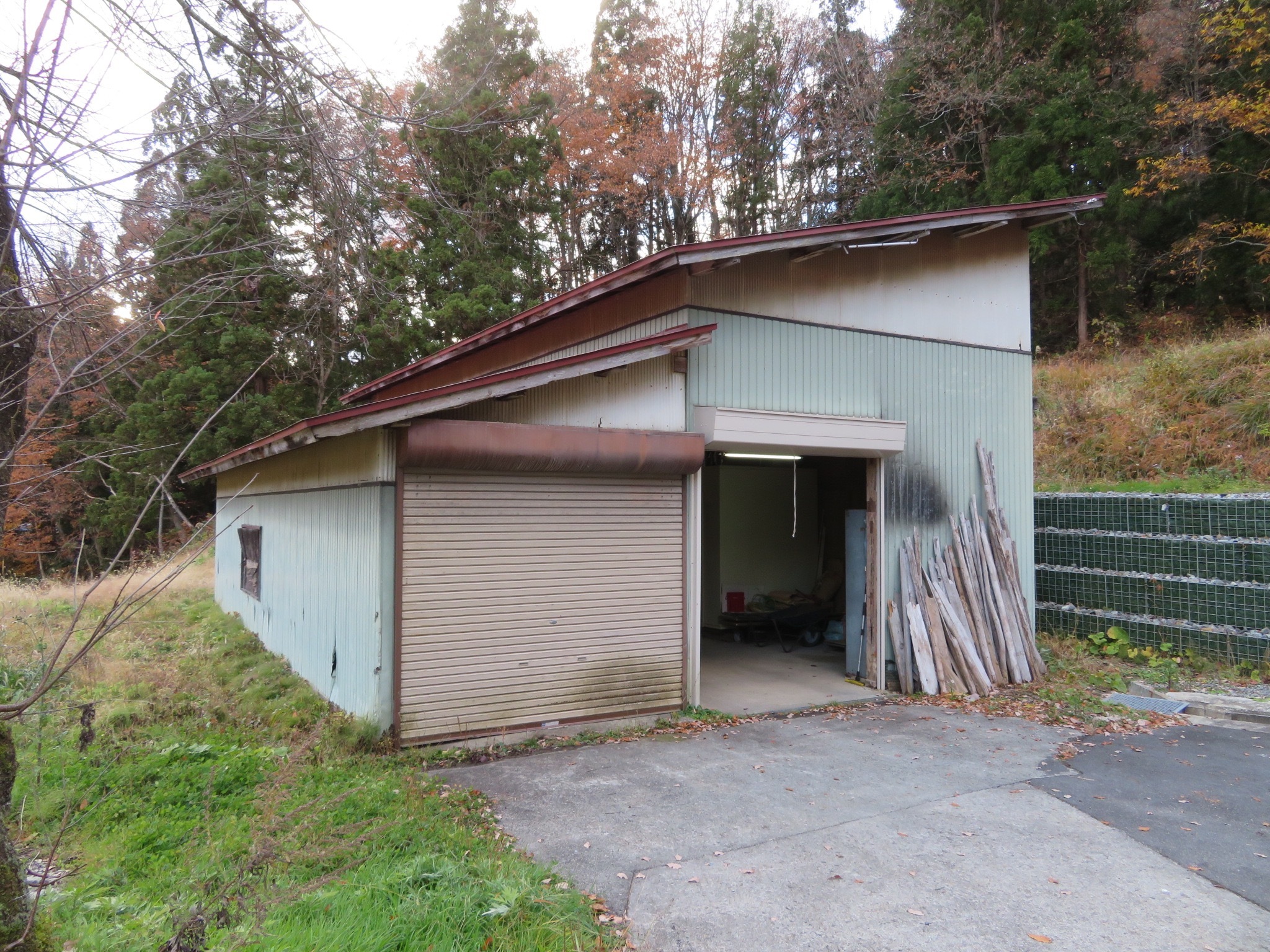 detached 玉庭
